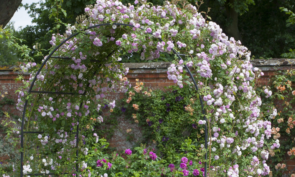 Monet’s Arch: The Most Spectacular Garden Arch In The World!